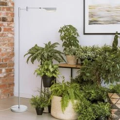 Brand new 😍 Brightech Leaf - Adjustable Pharmacy LED Floor Lamp For Reading & Crafts, Platin 🔥 -Lamps Sales Store dd61a5800eb7a208 9187 w800 h800 b0 p0